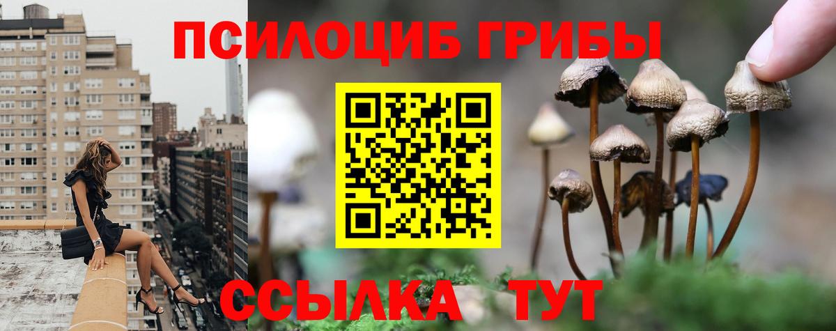 Галлюциногенные грибы мухоморы  Псилоцибиновые грибы мухоморы  Вход с VPN  Ипатово 